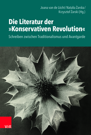 Die Literatur der »Konservativen Revolution« von Denka,  Andrzej, Eibl,  Albert C., Gajdis,  Anna, Gorgone,  Sandro, Horňáček,  Milan, Kiesel,  Helmuth, Kowal,  Grzegorz, Kunicki,  Wojciech, Langemeyer,  Peter, Michailowski,  Alexander, Polechonski,  Krzysztof, Szymani,  Ewa, Thesing,  Björn, van de Löcht,  Joana, Walkowiak,  Maciej, Zakrzewski,  Maciej, Zarska,  Natalia, Żarski,  Krzysztof