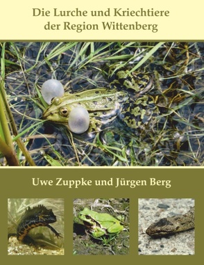 Die Lurche und Kriechtiere der Region Wittenberg von Berg,  Jürgen, Zuppke,  Uwe