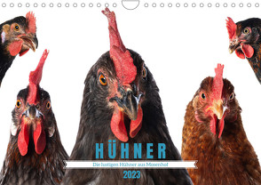 Die lustigen Hühner aus Mosenhof (Wandkalender 2023 DIN A4 quer) von Kiener - DoraZett,  Judith