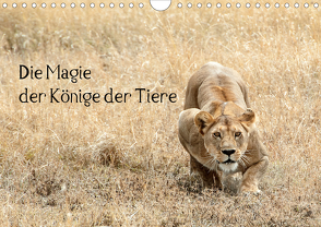 Die Magie der Könige der Tiere (Wandkalender 2020 DIN A4 quer) von Skrypzak,  Rolf