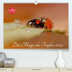 Die Magie der Tropfen 2022 (Premium, hochwertiger DIN A2 Wandkalender 2022, Kunstdruck in Hochglanz) von Kropf,  Anna