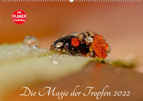 Die Magie der Tropfen 2022 (Wandkalender 2022 DIN A2 quer) von Kropf,  Anna