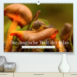 Die magische Welt der Pilze (Premium, hochwertiger DIN A2 Wandkalender 2023, Kunstdruck in Hochglanz) von Sperber,  Simone