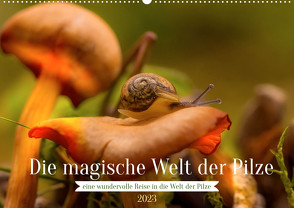 Die magische Welt der Pilze (Wandkalender 2023 DIN A2 quer) von Sperber,  Simone