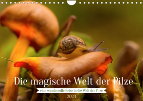 Die magische Welt der Pilze (Wandkalender 2023 DIN A4 quer) von Sperber,  Simone