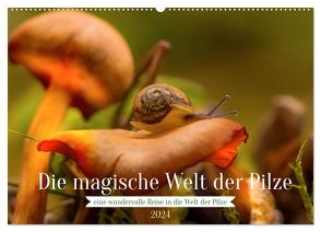 Die magische Welt der Pilze (Wandkalender 2024 DIN A2 quer), CALVENDO Monatskalender von Sperber,  Simone