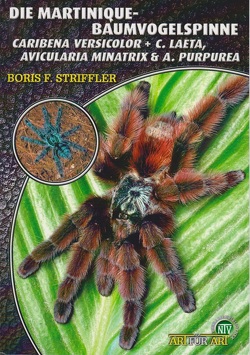 Die Martinique-Baumvogelspinne von Striffler,  Boris F.