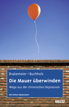 Die Mauer überwinden von Brakemeier,  Eva-Lotta, Buchholz,  Angela