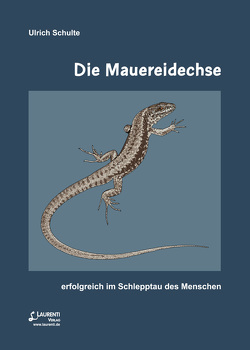 Die Mauereidechse von Schulte,  Ulrich