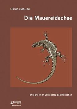 Die Mauereidechse von Schulte,  Ulrich