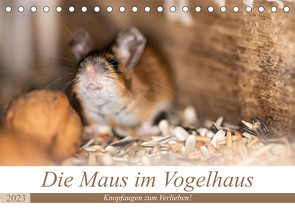 Die Maus im Vogelhaus (Tischkalender 2023 DIN A5 quer) von Photography by Nicole Peters,  Passion