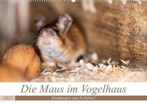 Die Maus im Vogelhaus (Wandkalender 2023 DIN A2 quer) von Photography by Nicole Peters,  Passion