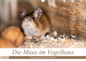 Die Maus im Vogelhaus (Wandkalender 2023 DIN A3 quer) von Photography by Nicole Peters,  Passion