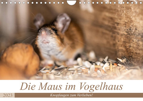 Die Maus im Vogelhaus (Wandkalender 2023 DIN A4 quer) von Photography by Nicole Peters,  Passion