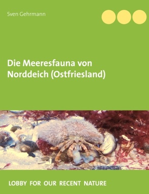 Die Meeresfauna von Norddeich (Ostfriesland) von Gehrmann,  Sven