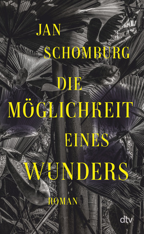 Die Möglichkeit eines Wunders von Schomburg,  Jan