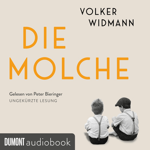 Die Molche von Bieringer,  Peter, Widmann,  Volker