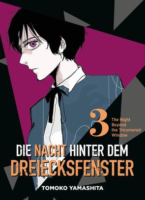 Die Nacht hinter dem Dreiecksfenster – The Night Beyond the Tricornered Window 03 von Höfler,  Burkhard, Yamashita,  Tomoko