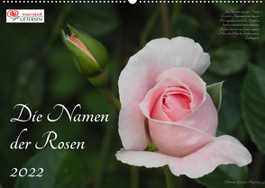 Die Namen der Rosen (Wandkalender 2022 DIN A2 quer) von Rohwer,  Klaus