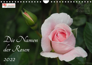 Die Namen der Rosen (Wandkalender 2022 DIN A4 quer) von Rohwer,  Klaus