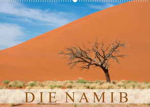 Die Namib (Wandkalender 2022 DIN A2 quer) von Scholz,  Frauke