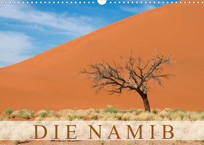 Die Namib (Wandkalender 2022 DIN A3 quer) von Scholz,  Frauke