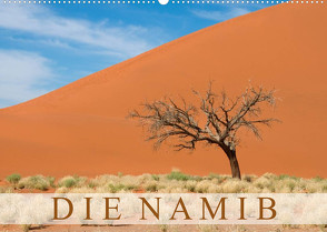 Die Namib (Wandkalender 2023 DIN A2 quer) von Scholz,  Frauke