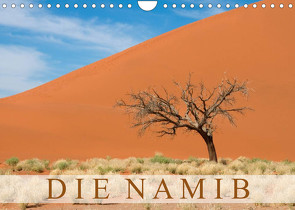 Die Namib (Wandkalender 2023 DIN A4 quer) von Scholz,  Frauke