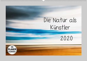 Die Natur als Künstler (Wandkalender 2020 DIN A2 quer) von Karius,  Kirsten