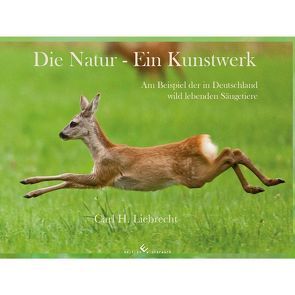 Die Natur – Ein Kunstwerk von Liebrecht,  Carl H.