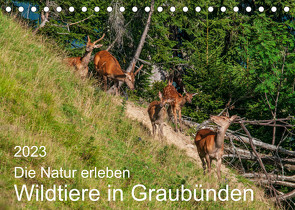 Die Natur erleben – Wildtiere in GraubündenCH-Version (Tischkalender 2023 DIN A5 quer) von Plattner,  Jürg