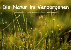 Die Natur im Verborgenen (Posterbuch DIN A3 quer) von Voss,  Elvira