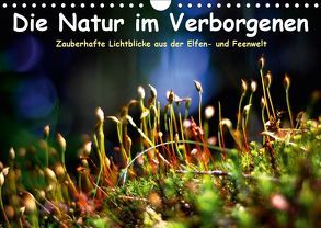 Die Natur im Verborgenen (Wandkalender 2019 DIN A4 quer) von Voss,  Elvira