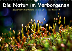Die Natur im Verborgenen (Wandkalender 2020 DIN A3 quer) von Voss,  Elvira