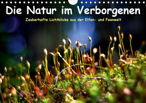 Die Natur im Verborgenen (Wandkalender 2020 DIN A4 quer) von Voss,  Elvira