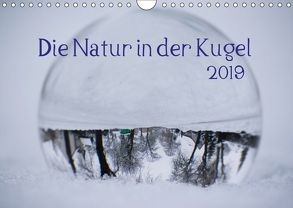 Die Natur in der Kugel (Wandkalender 2019 DIN A4 quer) von Tschakste,  Josephin