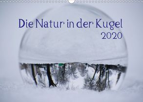 Die Natur in der Kugel (Wandkalender 2020 DIN A3 quer) von Tschakste,  Josephin