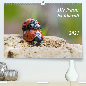 Die Natur ist überall (Premium, hochwertiger DIN A2 Wandkalender 2021, Kunstdruck in Hochglanz) von Schröder,  Kurt