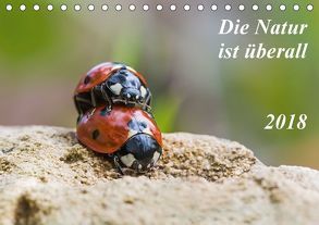 Die Natur ist überall (Tischkalender 2018 DIN A5 quer) von Schröder,  Kurt