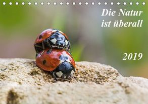 Die Natur ist überall (Tischkalender 2019 DIN A5 quer) von Schröder,  Kurt