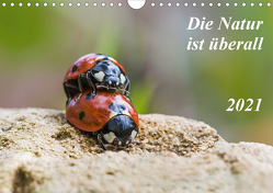 Die Natur ist überall (Wandkalender 2021 DIN A4 quer) von Schröder,  Kurt