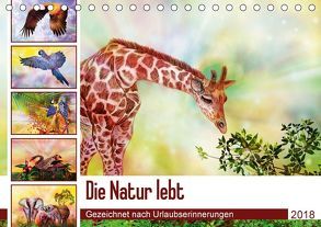 Die Natur lebt – Gezeichnet nach Urlaubserinnerungen (Tischkalender 2018 DIN A5 quer) von Djeric,  Dusanka