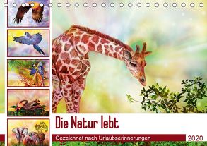 Die Natur lebt – Gezeichnet nach Urlaubserinnerungen (Tischkalender 2020 DIN A5 quer) von Djeric,  Dusanka