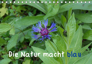 Die Natur macht blau (Tischkalender 2021 DIN A5 quer) von Sokoll,  Stephanie