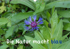Die Natur macht blau (Wandkalender 2021 DIN A3 quer) von Sokoll,  Stephanie