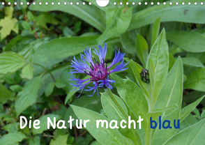 Die Natur macht blau (Wandkalender 2021 DIN A4 quer) von Sokoll,  Stephanie