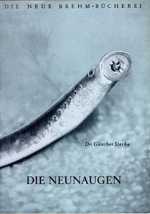 Die Neunaugen von Sterba,  Günther