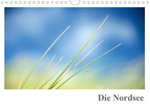 Die Nordsee (Wandkalender 2021 DIN A4 quer) von Auf der Maur,  Manuel