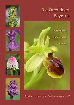 Die Orchideen Bayerns