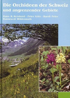 Die Orchideen der Schweiz und angrenzender Gebiete von Bovard,  Jean P, Büel,  Hans, Eicher,  August K, Forster,  Jakob, Gölz,  Peter, Holliger,  Kurt, Landolt,  Elias, Peter,  Ruedi, Reinhard,  Hans R, Wildermuth,  Hansruedi